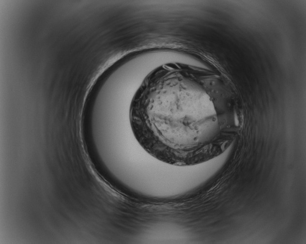 X0000052640726200507160156