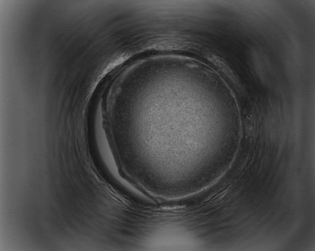 X0000052640727200507160156