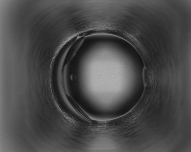 X0000052640728200507160156