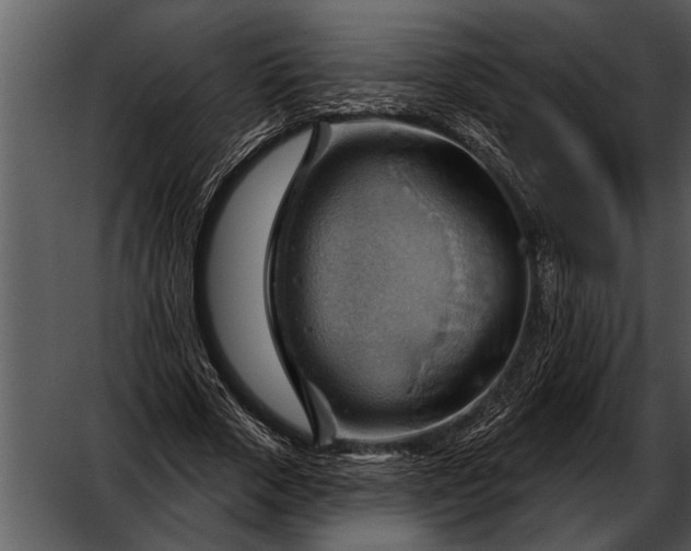 X0000052640729200507160156