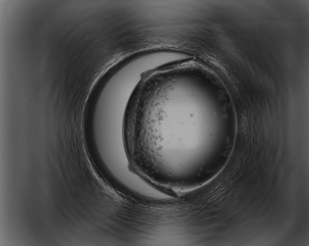 X0000052640730200507160156