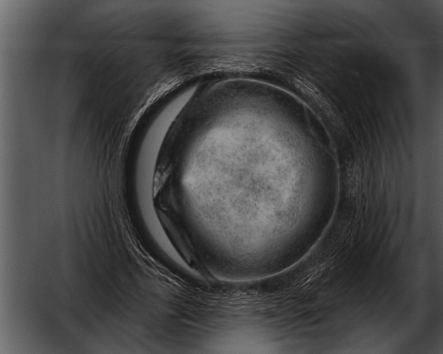 X0000052640731200507160156