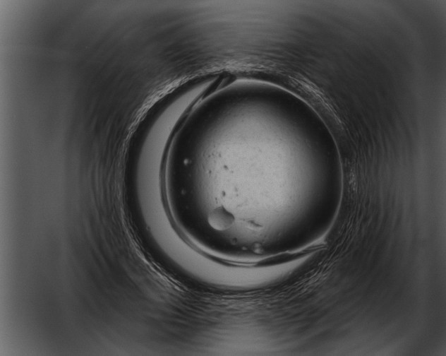 X0000052640732200507160156