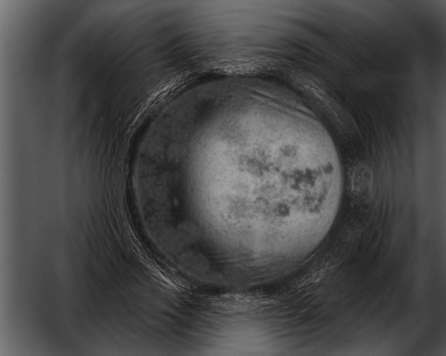 X0000052640733200507160156