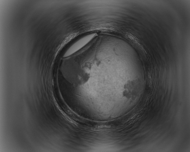 X0000052640734200507160156