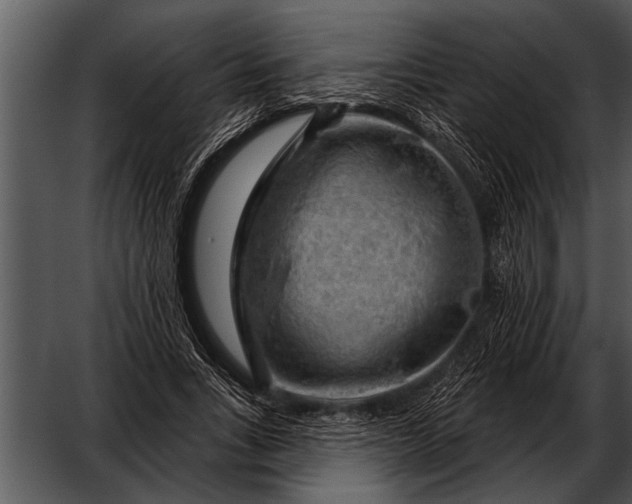 X0000052640735200507160156