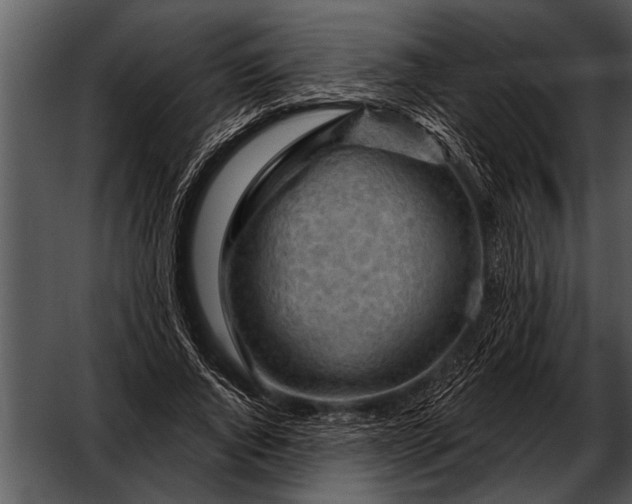 X0000052640736200507160156