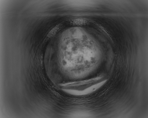 X0000052640737200507160156