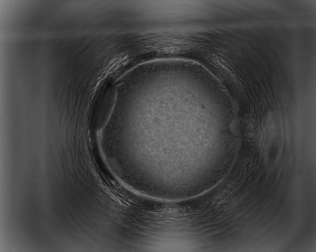 X0000052640738200507160156