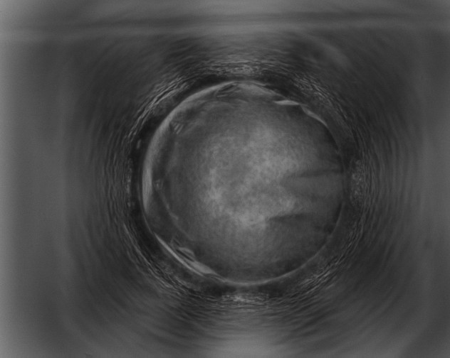 X0000052640739200507160156