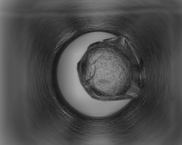 X0000052640740200507160156