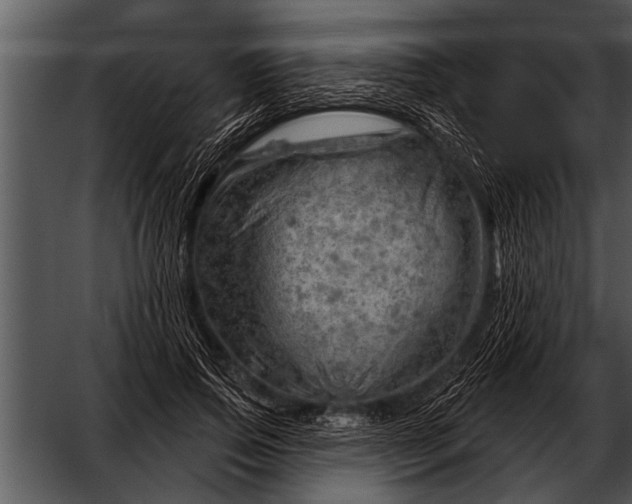 X0000052640741200507160156