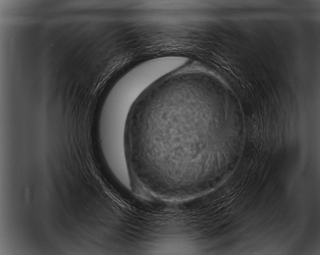 X0000052640742200507160156