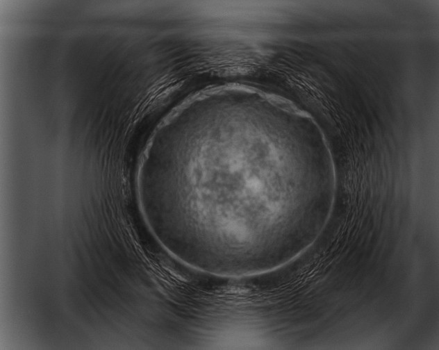 X0000052640743200507160156