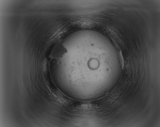 X0000052640744200507160156