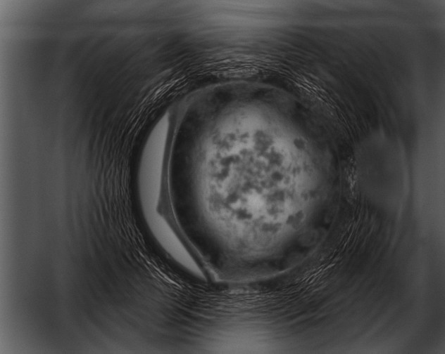 X0000052640745200507160156