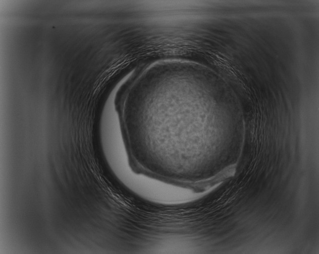 X0000052640746200507160156