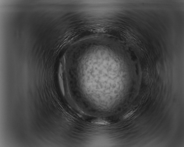 X0000052640747200507160156