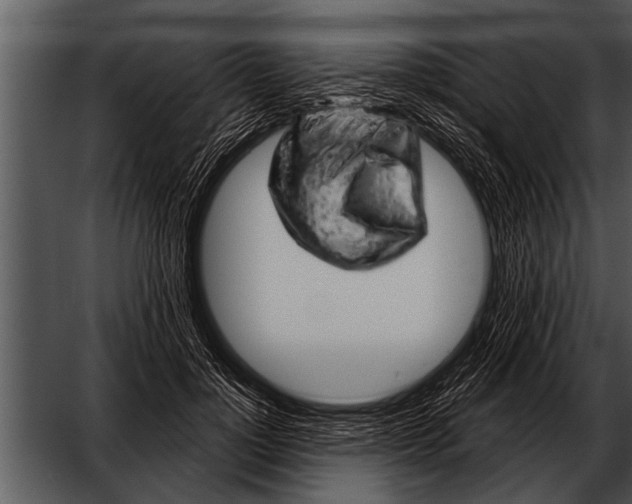 X0000052640748200507160156