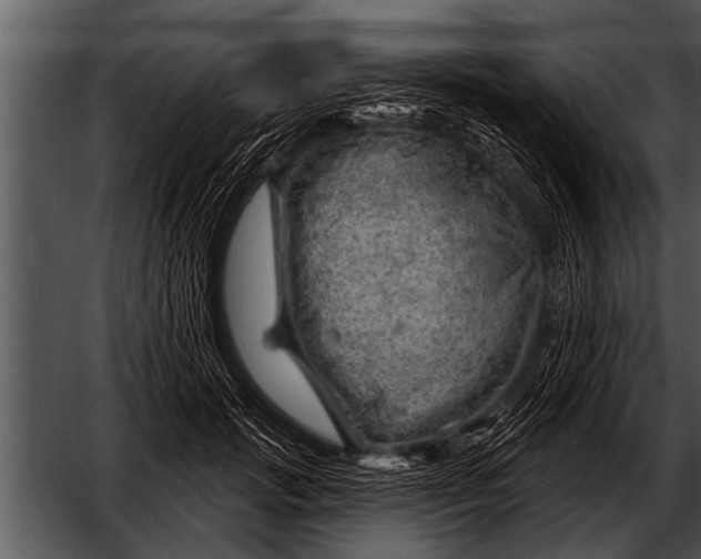 X0000052640749200507160156