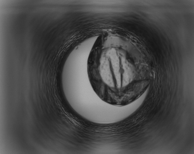 X0000052640750200507160156