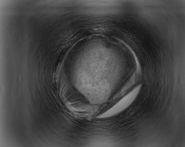 X0000052640751200507160156