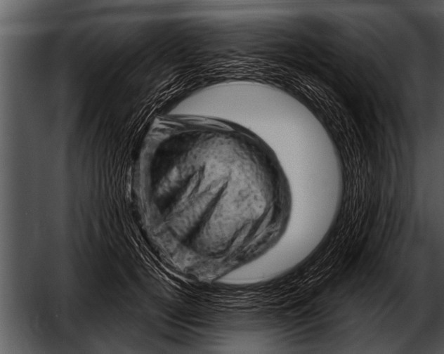 X0000052640752200507160156