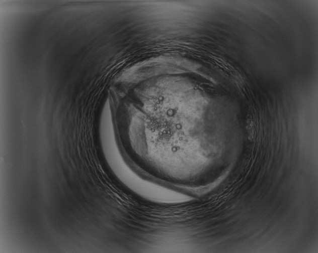 X0000052640753200507160156