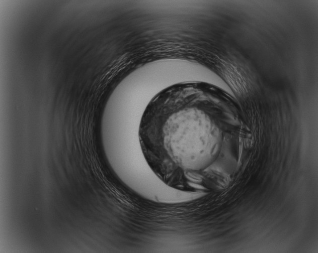 X0000052640754200507160156