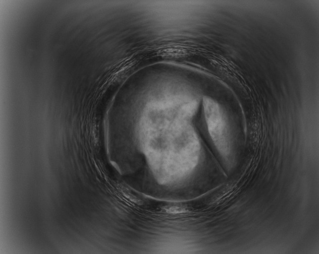 X0000052640755200507160156