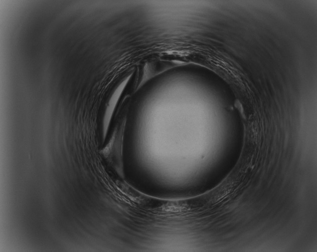 X0000052640756200507160156