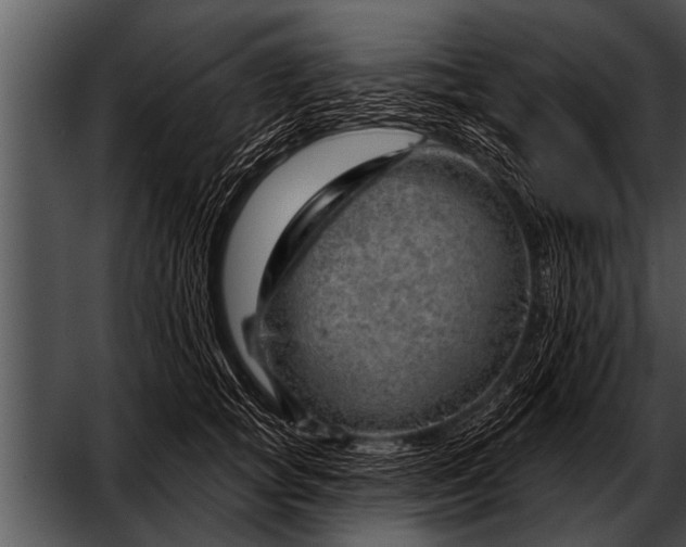 X0000052640757200507160156