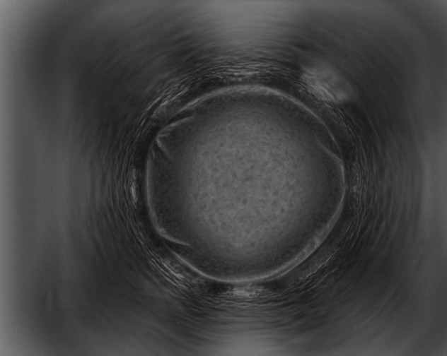 X0000052640758200507160156