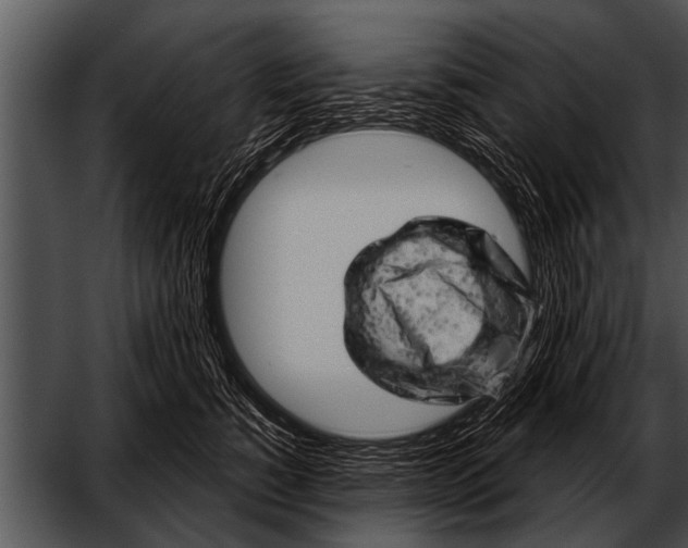 X0000052640760200507160156