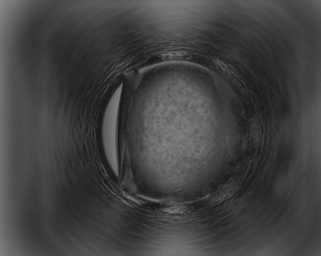 X0000052640761200507160156