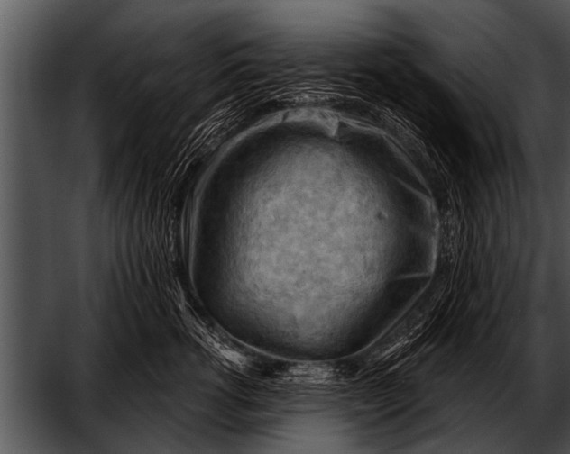 X0000052640762200507160156