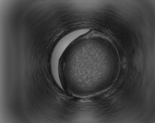 X0000052640763200507160156