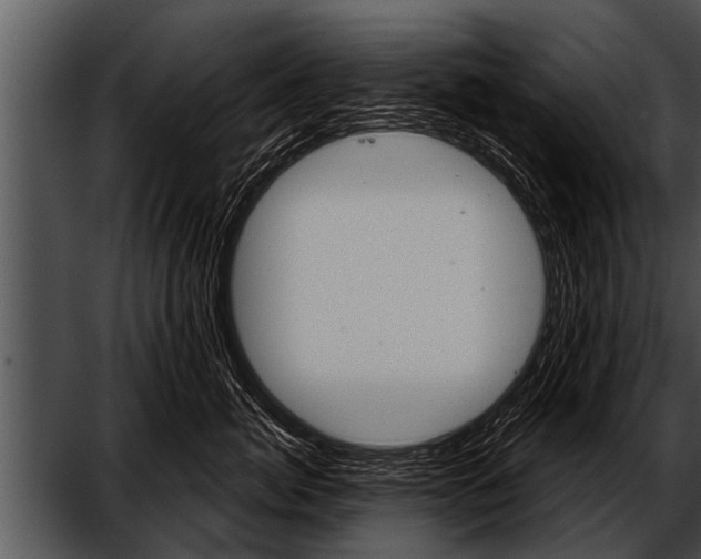 X0000052640764200507160156