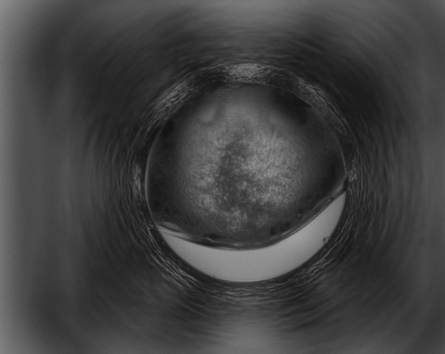 X0000052640765200507160156