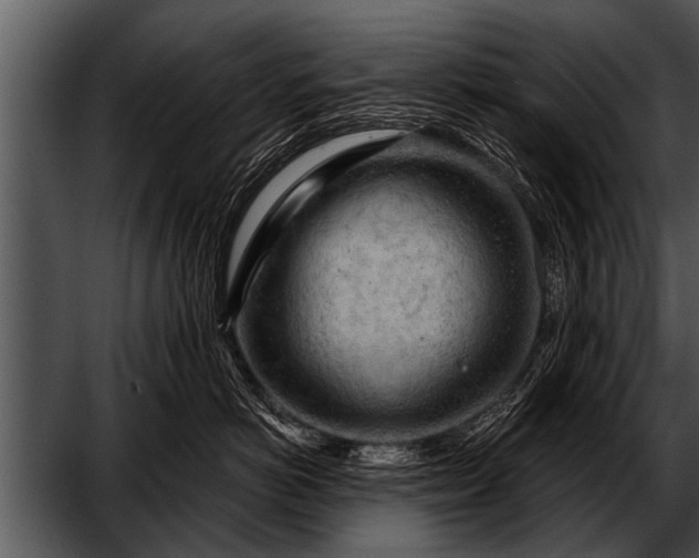 X0000052640766200507160157