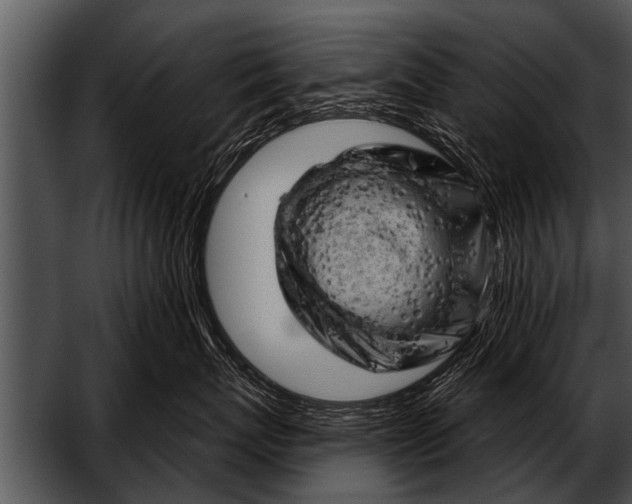 X0000052640767200507160157