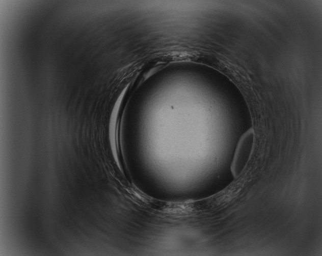 X0000052640768200507160157