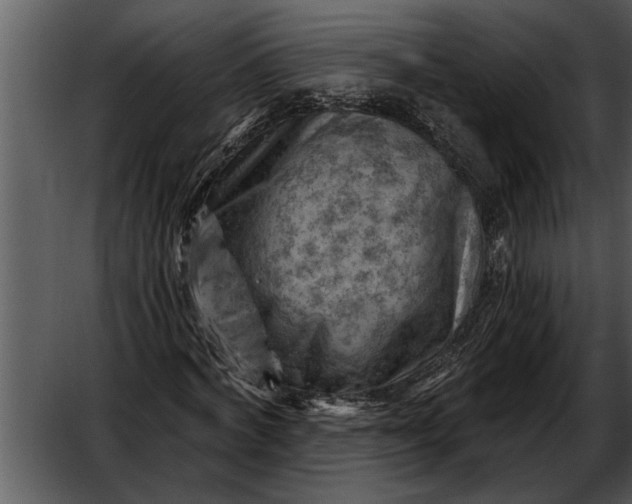 X0000052640772200507160156