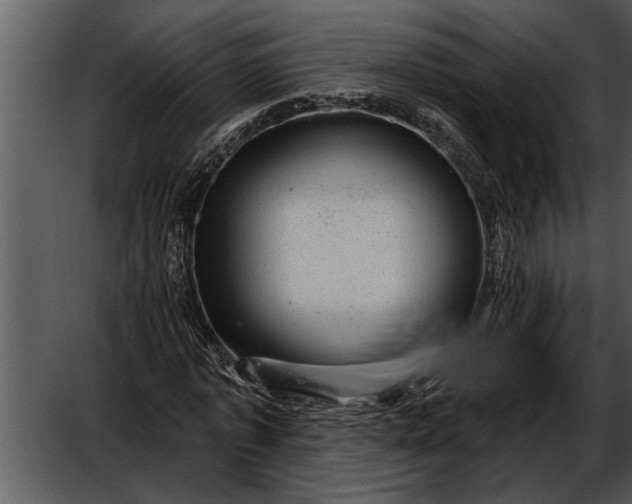 X0000052640773200507160156