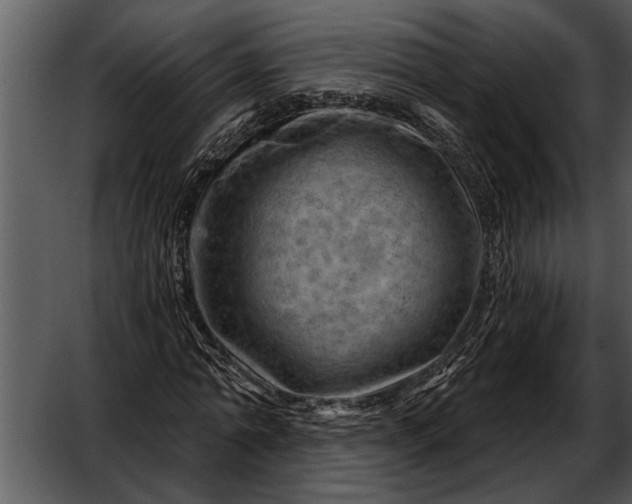 X0000052640774200507160156