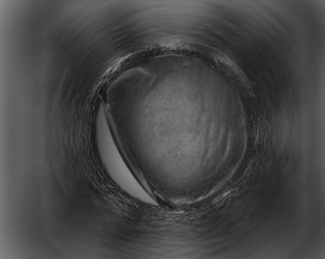 X0000052640776200507160156