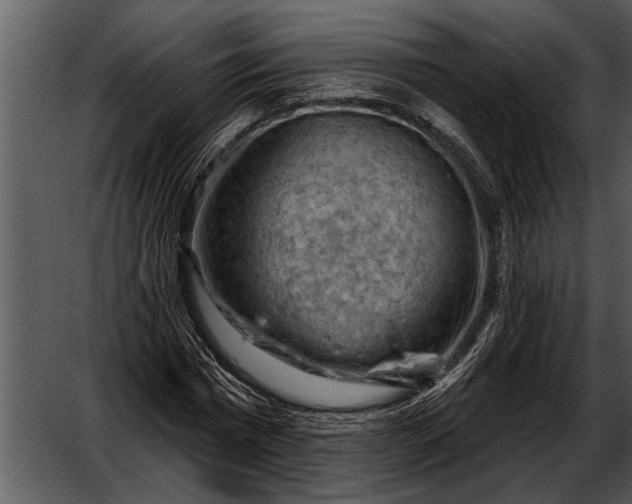 X0000052640777200507160156