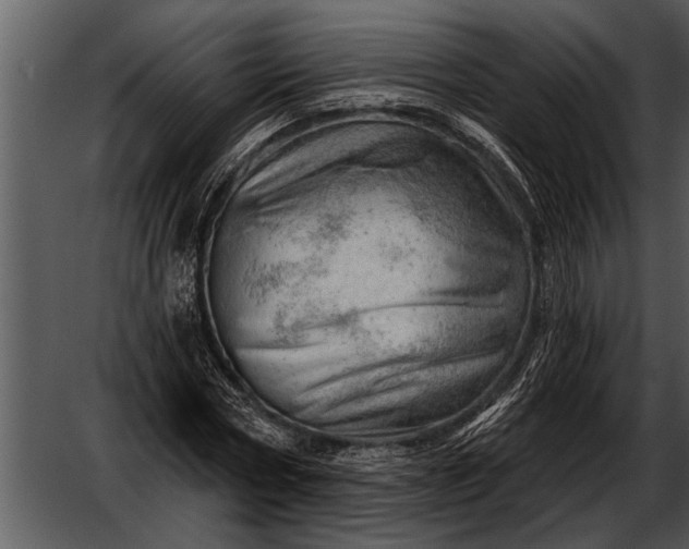 X0000052640778200507160156