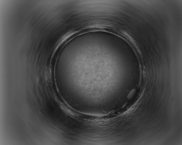 X0000052640779200507160156