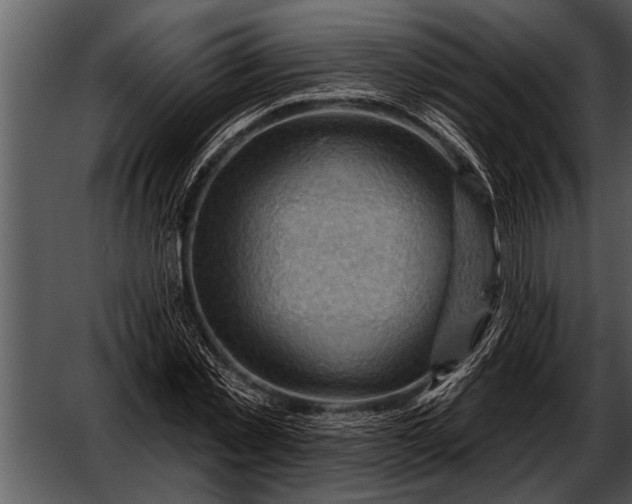 X0000052640781200507160156